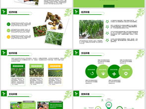 2018年“互聯(lián)網(wǎng)+農(nóng)副產(chǎn)品”市場推廣企業(yè)營銷策劃案模板與素材指南
